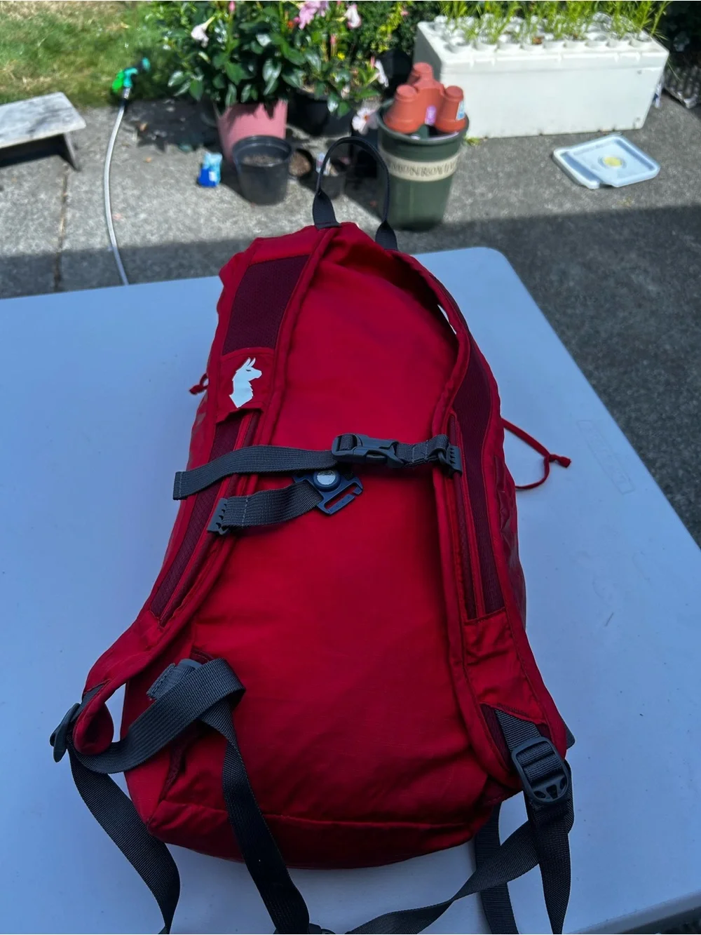 cotopaxi Bright Red Lightweight Daypack Size 18L